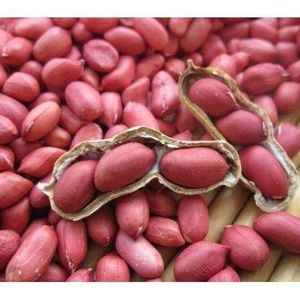Country Farm Organic Groundnuts