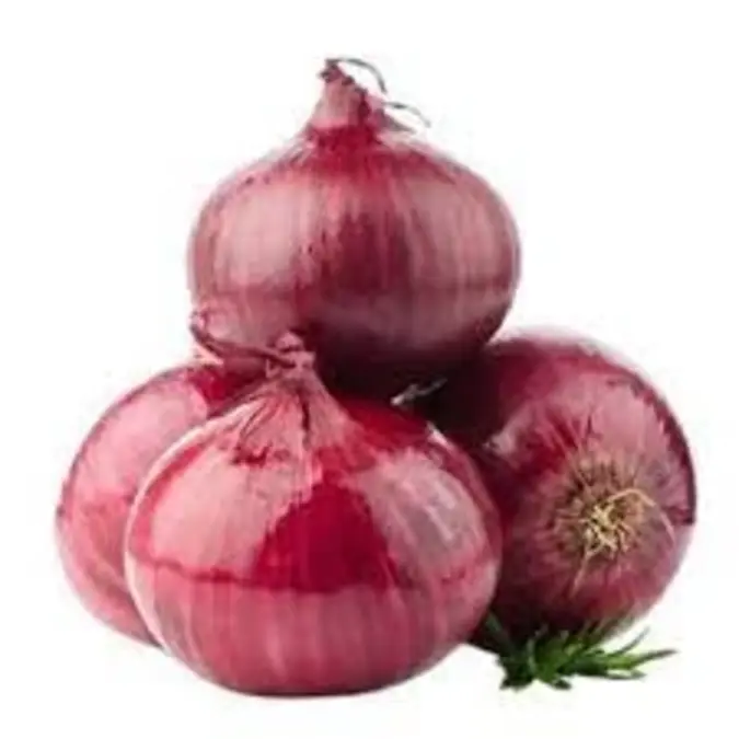 Fresh Red Onions